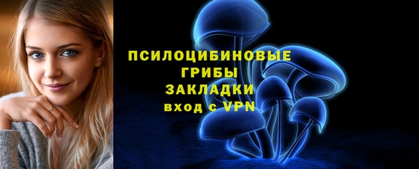 марки lsd Краснотурьинск