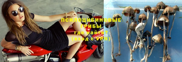 прущие крисы Красноперекопск