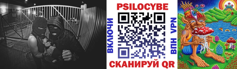 продажа наркотиков  Котельниково  Галлюциногенные грибы Psilocybine cubensis 